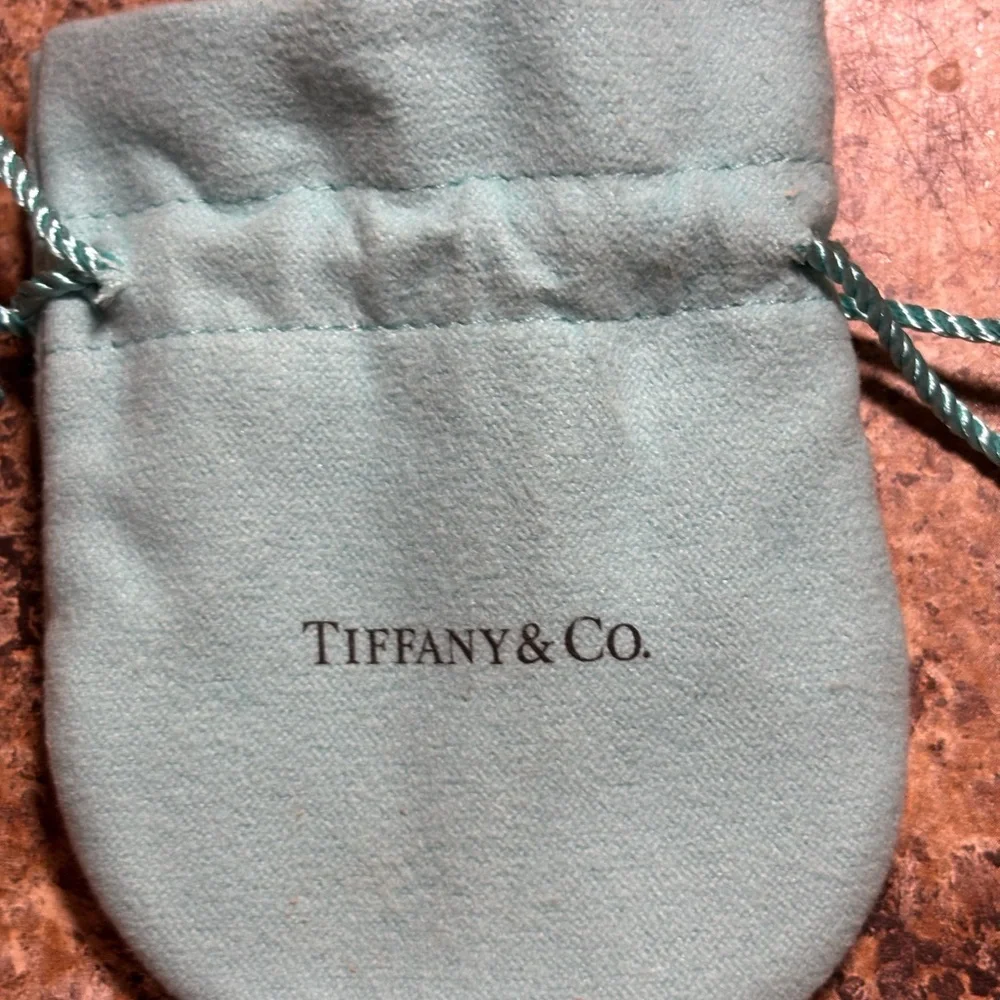 Tiffany & Co. Turquoise Jewelry Pouch - Picture 2 of 5